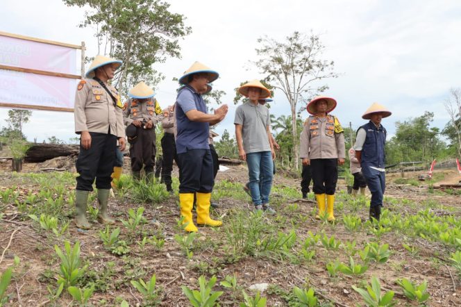 
					Karo Sumber Daya Manusia (SDM) Polda Aceh Kombes Riyadi Nugroho meninjau lahan produktif program ketahanan pangan di Desa Simpang Teumarom, Kecamatan Woyla Barat, Kabupaten Aceh Barat, Minggu, 17 November 2024. Foto: Dok. Polda Aceh